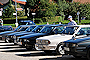ALFETTA40