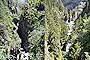 I2010_AR108