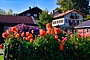 CHIEMSEE