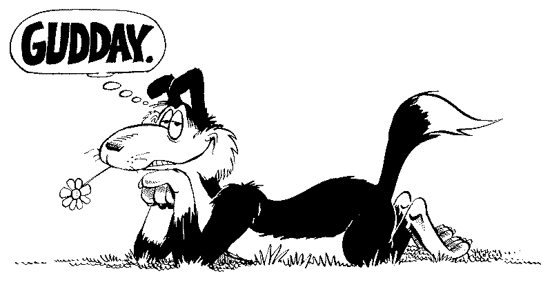 Dog